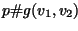 $p\char93 g (v_1, v_2)$